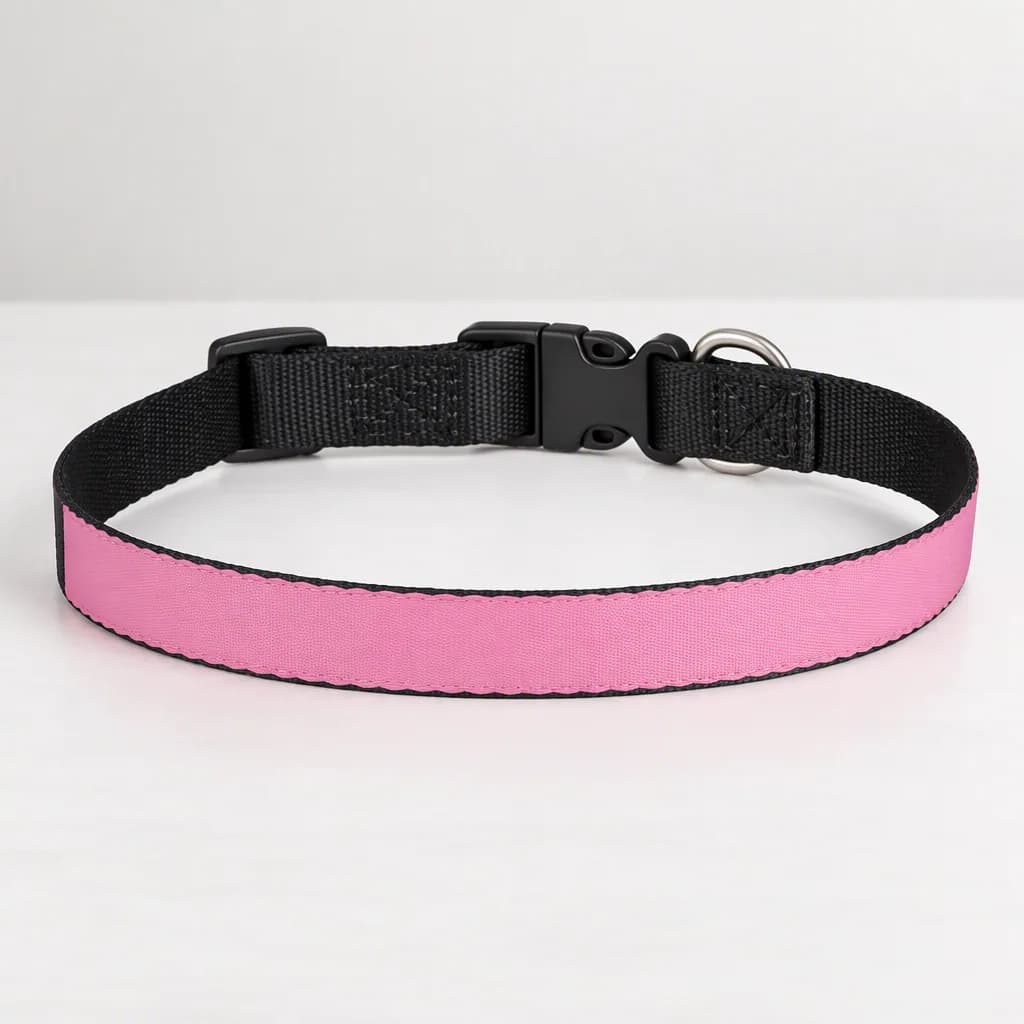 Blank Pet Collar Mockup